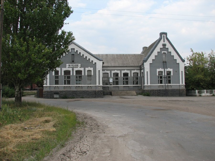 Merzalovo station
