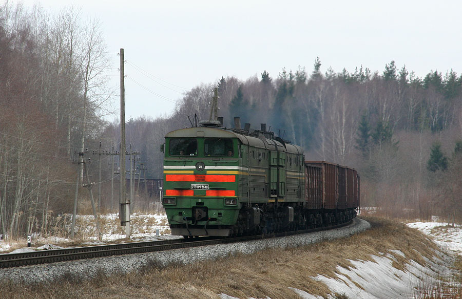 2TE10M-3648 (Belorussian loco)
25.03.2010
Krauja - 401km

