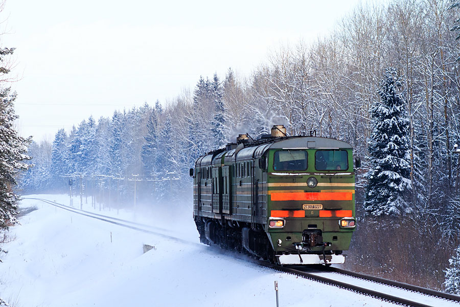 2TE10UK-0227 (Belorussian loco)
19.01.2013
Valčiūnai - Parudaminys
