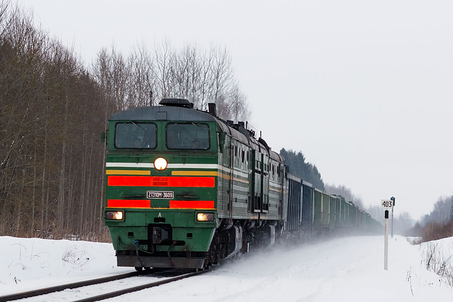 2TE10M-3609 (Belorussian loco)
17.02.2013
Naujene - 401km
