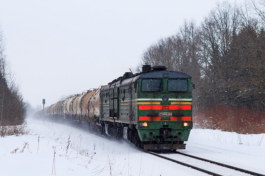 2TE10MK-2898 (Belorussian loco)
17.02.2013
Naujene - 401km
