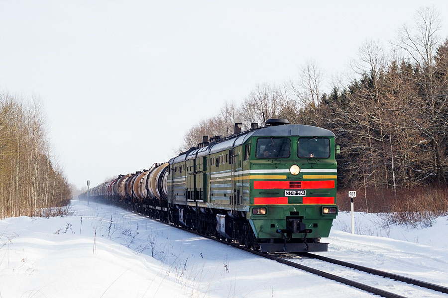 2TE10M-3354 (Belorussian loco)
17.02.2013
Naujene - 401km
