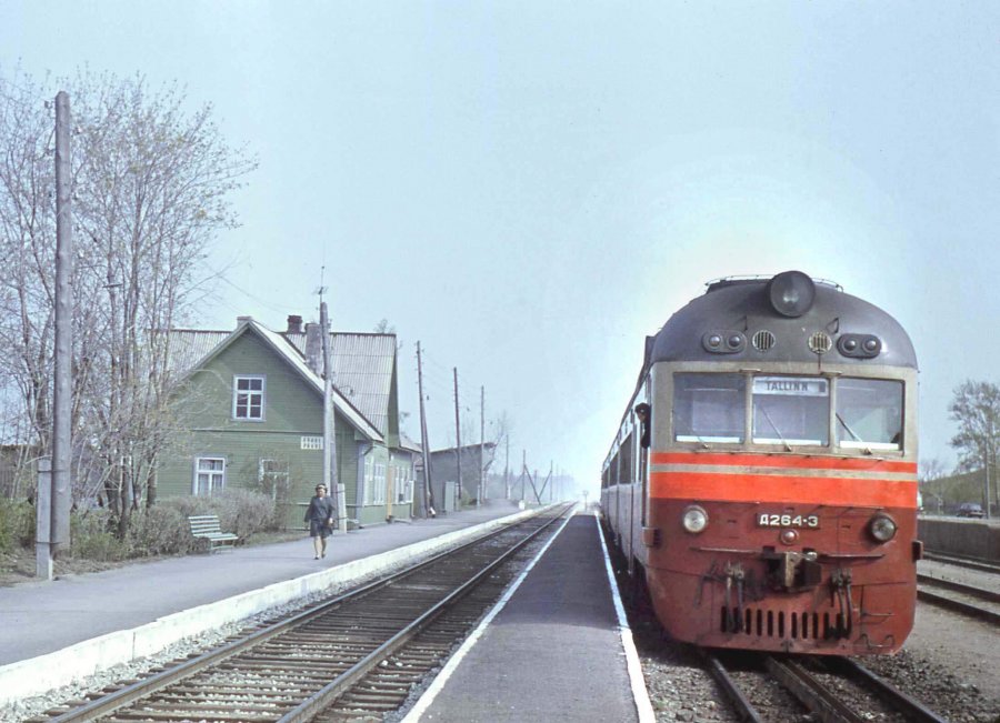 D1-264
05.1972
Rakke
