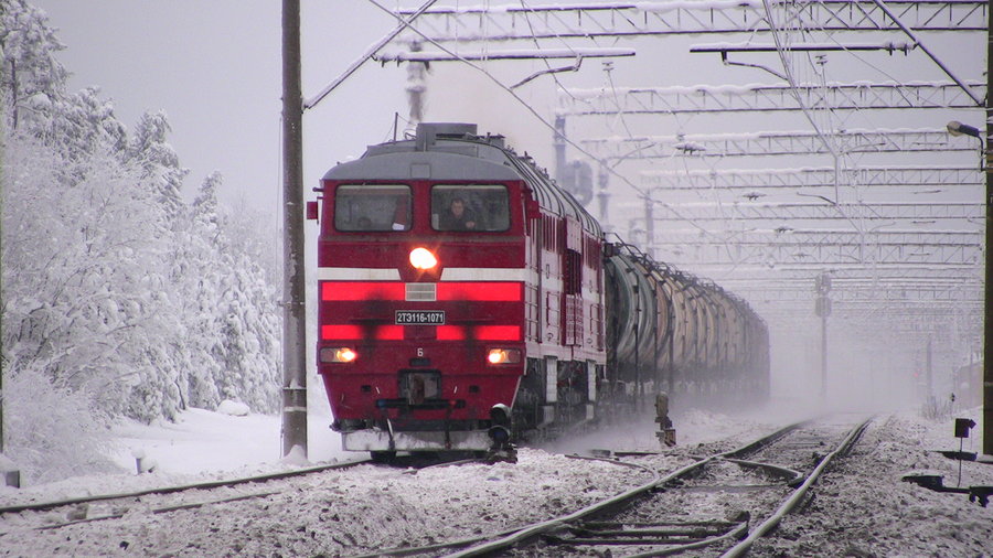 2TE116-1071 (Russian loco)
16.01.2010
Aegviidu
