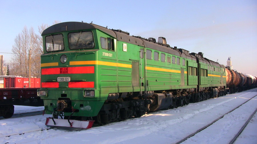 2TE10U-0217 (Latvian loco)
24.01.2010
Valga
