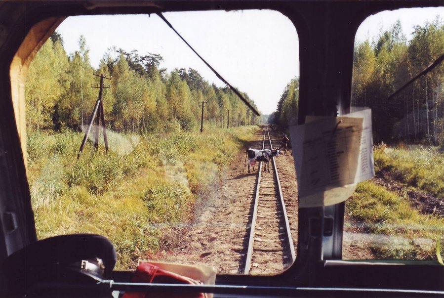 100 years of narrow gauge railway in Lithuania celebrations
18.09.1999
Panevėžys - Troškūnai
Võtmesõnad: panevezys troskunai
