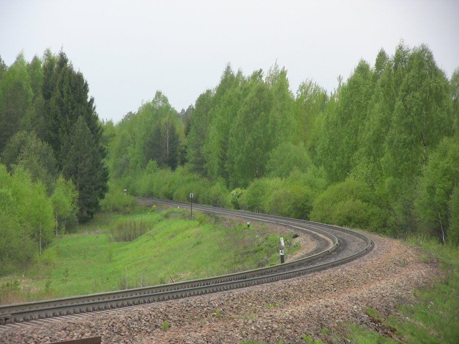 Orava - Pechory 85. km
17.05.2011

