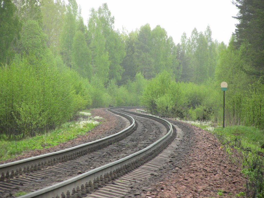Orava - Pechory 84. km
17.05.2011
