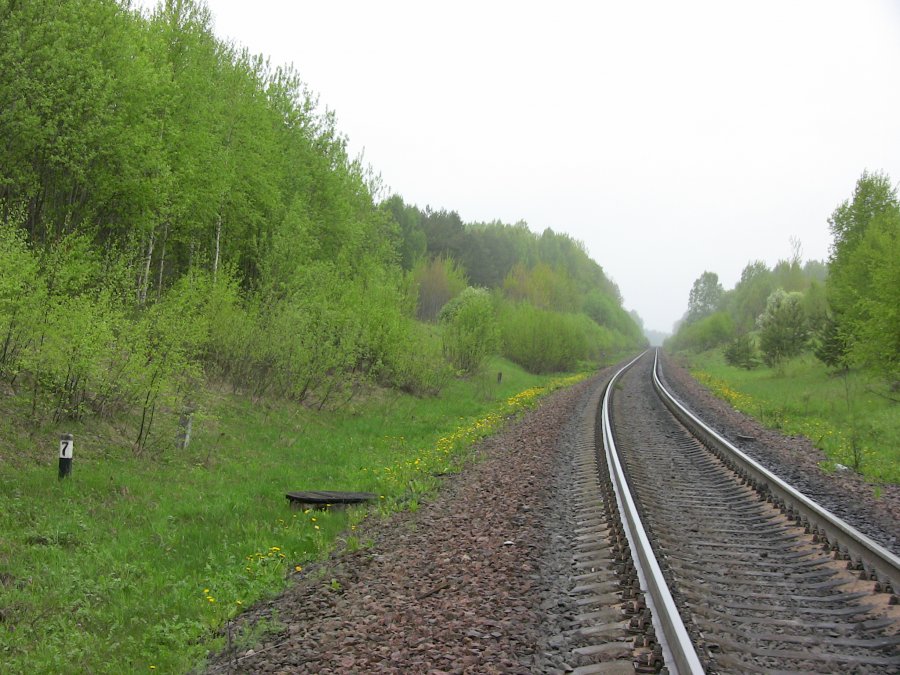 Orava - Pechory 83. km
17.05.2011
