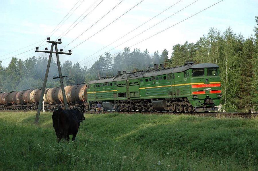 2TE10M-3139 (Belorussian loco)
22.06.2007
Daugavpils - Krauja
