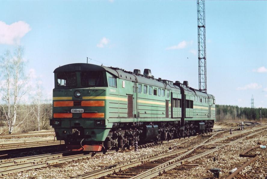 2TE10U-0220 (Latvian loco)
11.04.2004
Valga
