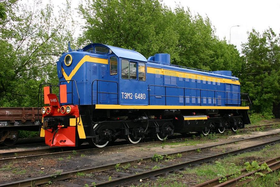 TEM2-6480 (Russian loco)
02.08.2006
Daugavpils
