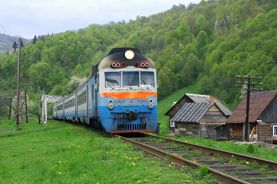D1-628
05.05.2008
Rachiv
