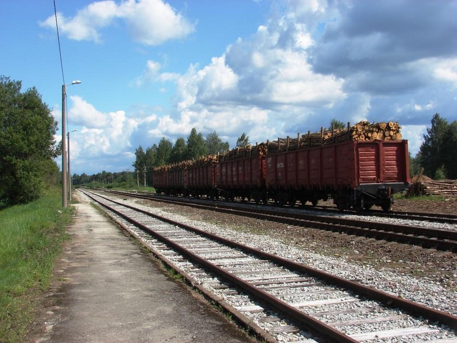 Freight cars with timber load
07.08.2009
Antsla
