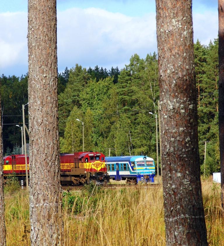 Trains between trees (C36-7i-1534+DR1A-274)
20.09.2009
Orava
