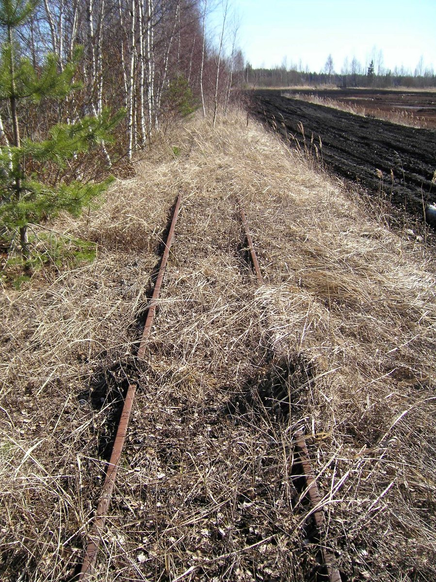 Ellamaa peat railway
23.04.2006
