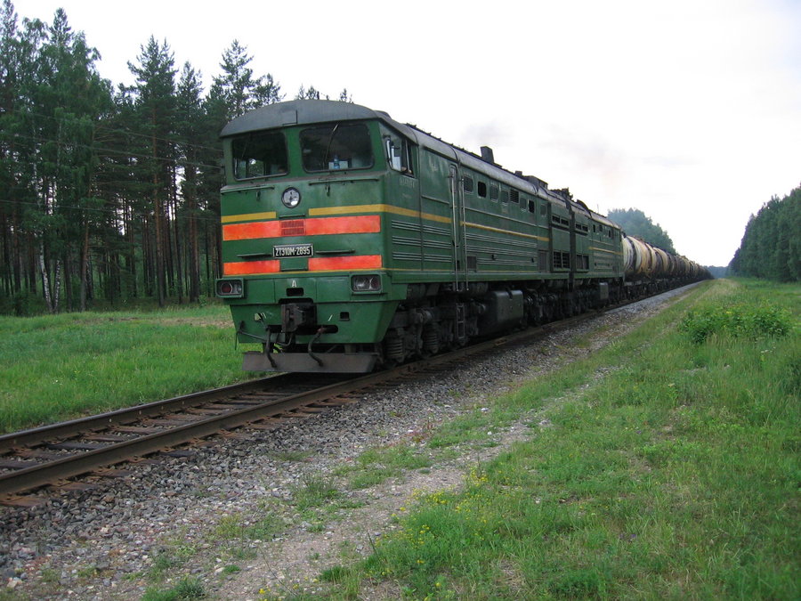 2TE10M-2895 (Belorussian loco)
23.06.2007
Daugavpils
