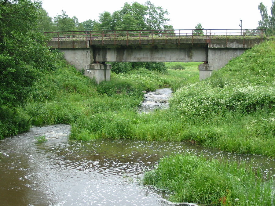 Iskna river bridge (Nõnova - Husari)
09.07.2003
