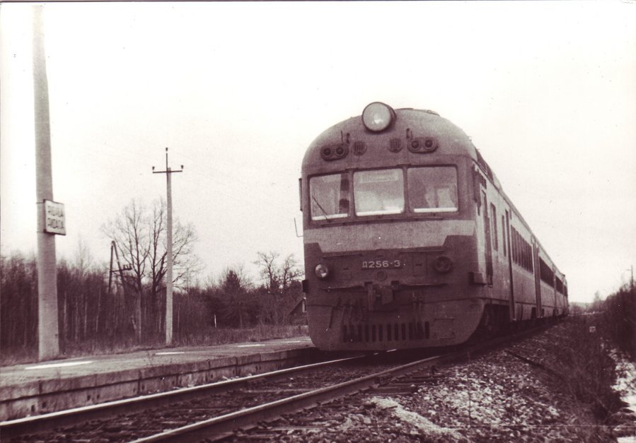 D1-256
09.04.1989
Ridala
