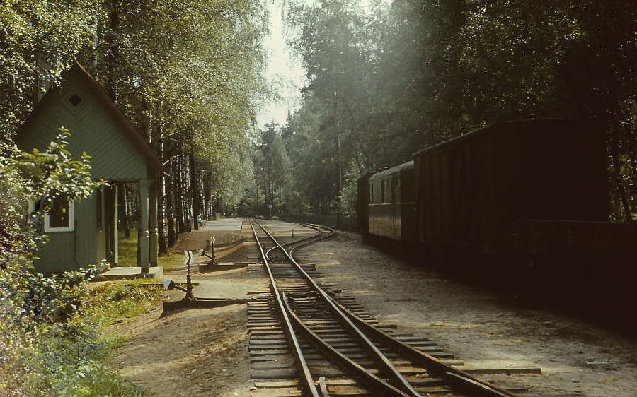 Rīga children railway
24.07.1980 
Mežaparks, Viesturi
