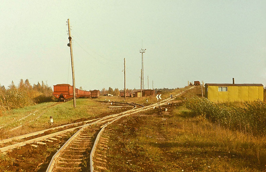 Lavassaare sorting yard in front of peat trestle
02.09.1981
