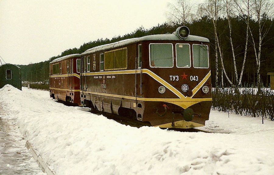 TU3-043 + 003
12.03.1991
Yaroslavl children railway
Locomotive worked in Lithuania, depot Panevežys since 1958 until 1970.

