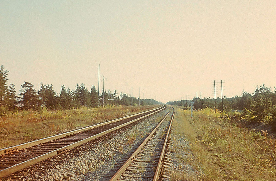 Liiva - Männiku, 11th km
10.1973

