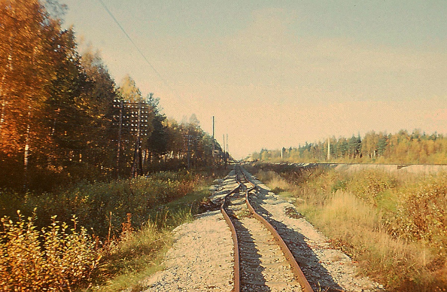 Männiku - Saku stretch
10.1973
Narrow gauge line was closed in 05.03.1971.
