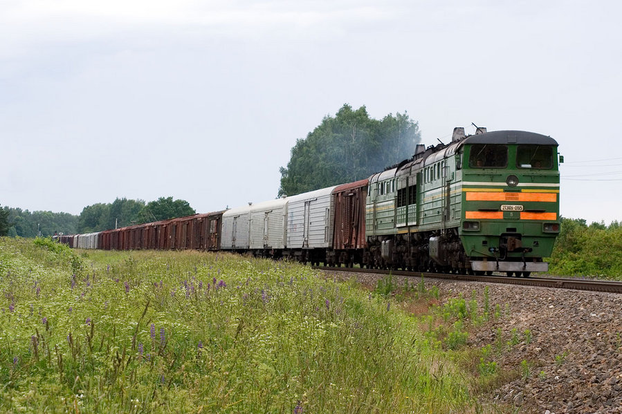2TE10U-0195 (Belorussian loco)
18.06.2007
Kyviškės
Võtmesõnad: kyviskes