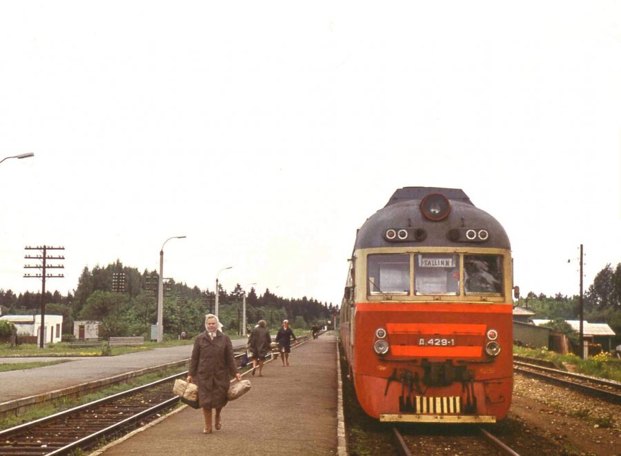 D1-429
06.1973
Jäneda
