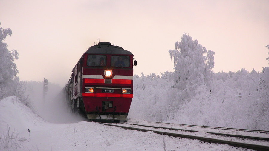 2TE116-1676 (actual 2TE116- 384, Russian loco)
16.01.2010
Aegviidu
