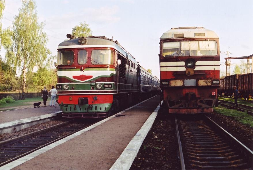 TEP60-0311 & TEP70-0320 (Estonian loco)
12.05.2005
Gomel - Chernigov line
