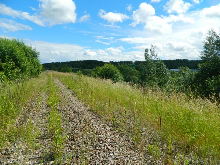 Former Orava-Pechory stretch, facing Pechory station
23.06.2014
