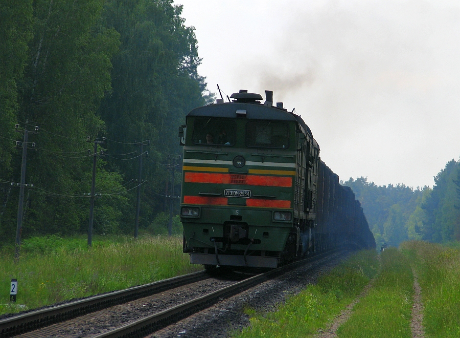 2TE10M-2934
11.06.2010
Daugavpils
