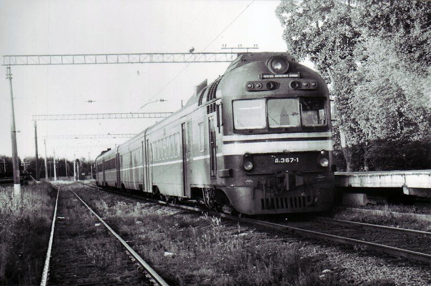 D1-367
17.08.1987
Riisipere
