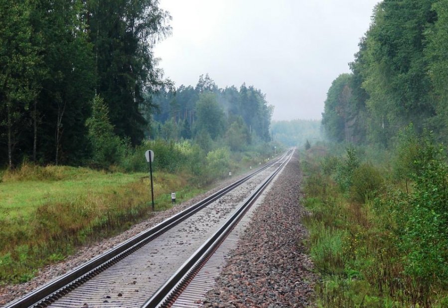 Foggy railway
28.08.2010
Ilumetsa
