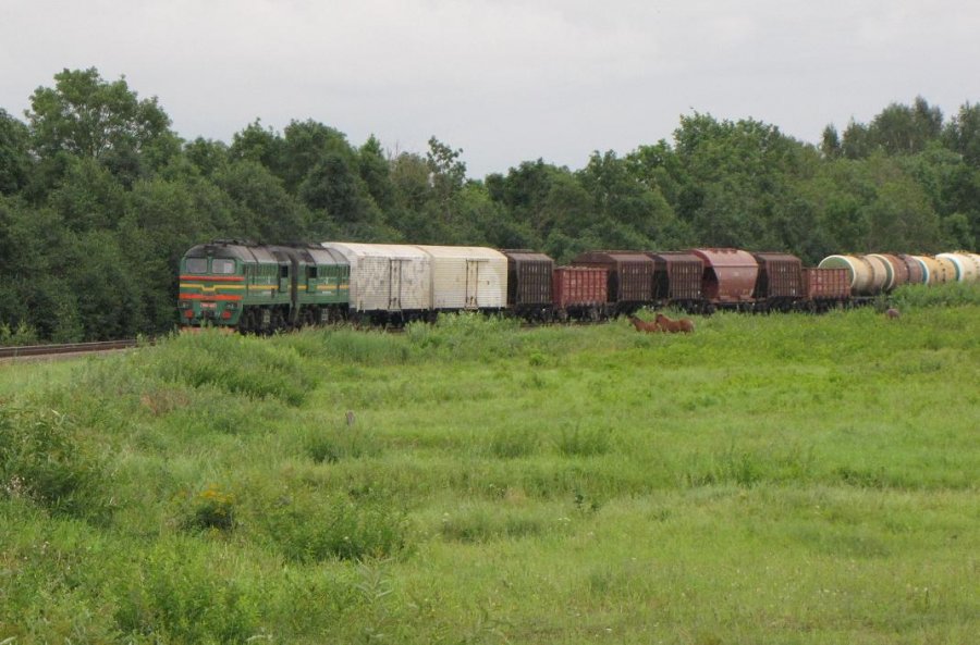 2M62-1003 (Latvian loco)
08.2010
Šiauliai - Joniškis

Võtmesõnad: siauliai joniskis