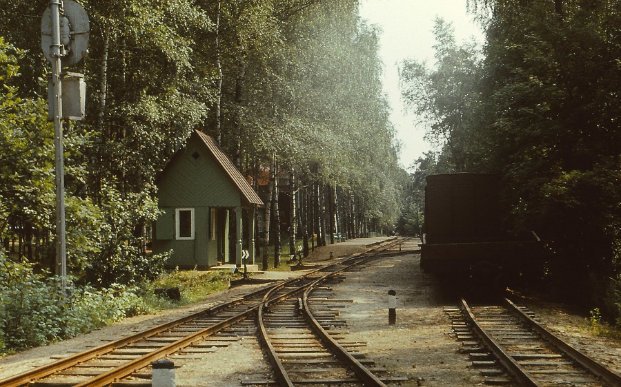 Rīga children railway
24.07.1980 
Mežaparks, Viesturi
