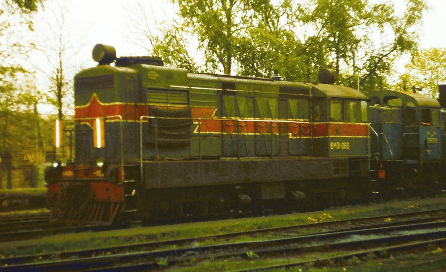 VME1-065
05.1988
Vilnius depot
